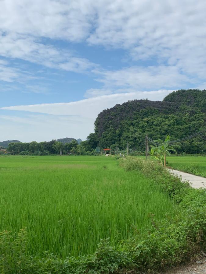 Tam Coc Wonderland Bungalow Ніньбінь Екстер'єр фото